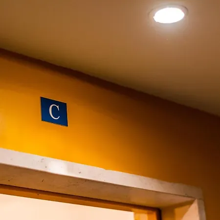 Conchas - 88214al Daire Lisboa